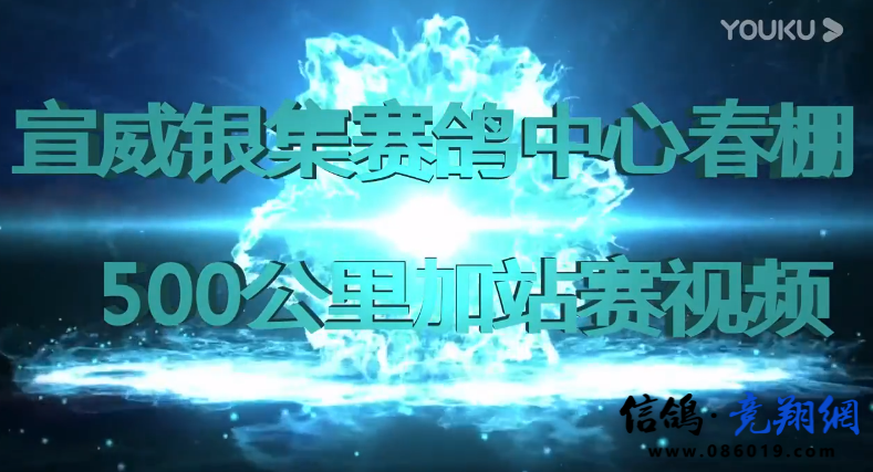 2020年云南宣威银集赛鸽中心春棚500公里加站赛视频