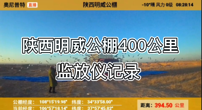 陕西明威赛鸽公棚400km监放仪记录