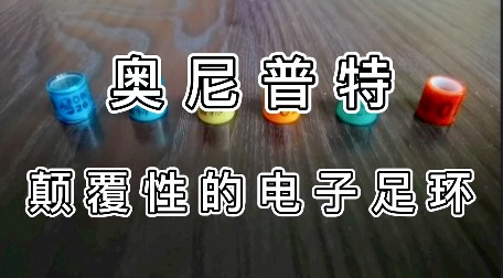 颠覆性的电子足环