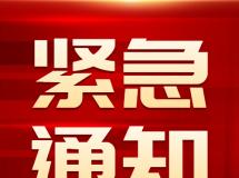 房山鸽会2023年秋季特比环第二次赛前报名规程